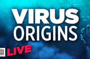 Liked on YouTube: Live Q&A: WHO Report On Virus Origins Raises Calls for Lab Origin Investigation | Crossroads