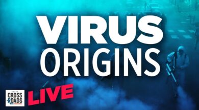 Liked on YouTube: Live Q&A: WHO Report On Virus Origins Raises Calls for Lab Origin Investigation | Crossroads