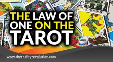 Liked on YouTube: The Law Of One On The Tarot